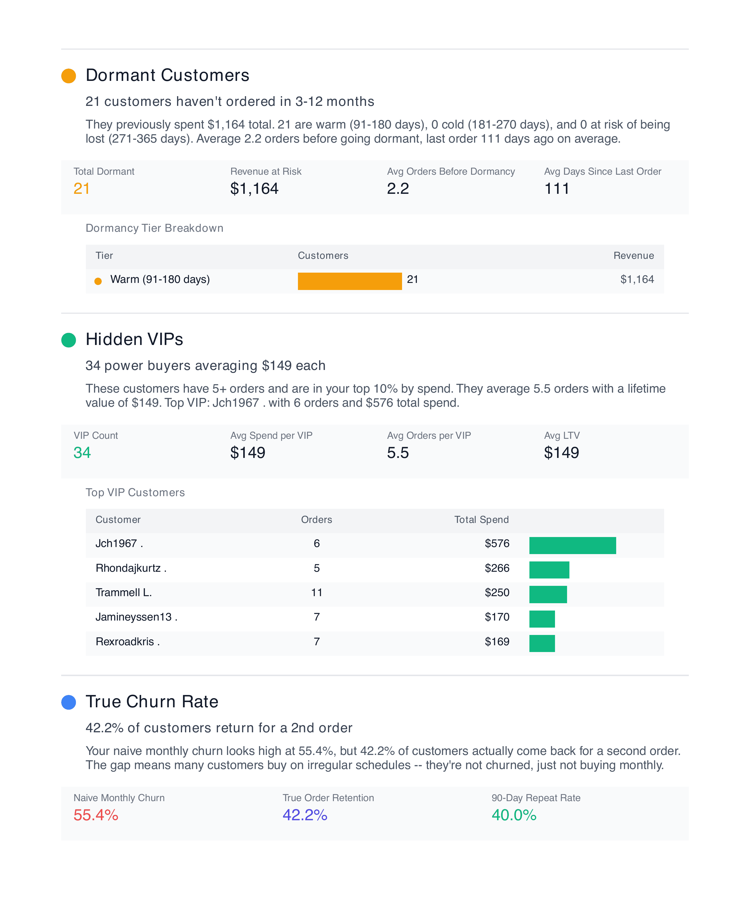 Finsi audit showing dormant customer segments, hidden VIP power buyers with spend data, and true churn rate analysis