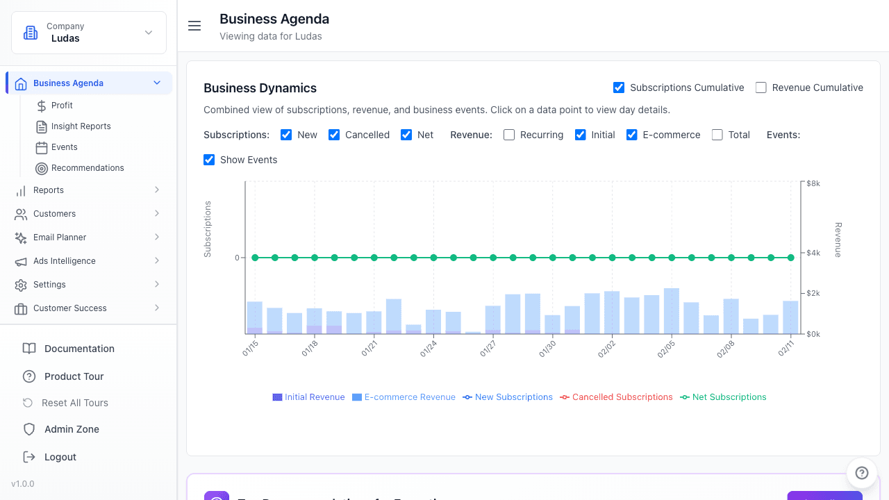 Finsi Business Dynamics chart with subscription and revenue tracking