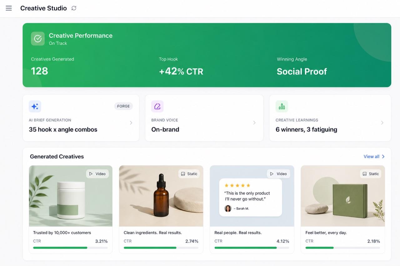 Finsi Creative Studio showing AI-generated ad creatives and performance tracking